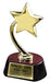 Star Metal Award on Horseshoe Base