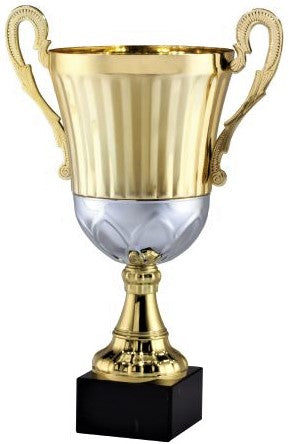 Gold/ Silver Trophy Cup, Metal Cup