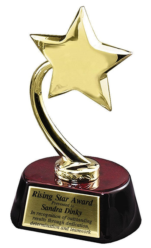 Star Metal Award on Horseshoe Base