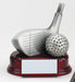 Golf Driver and Ball Trophy